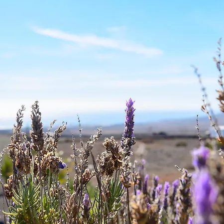 Casa Amanecer Iii Appartement Tías