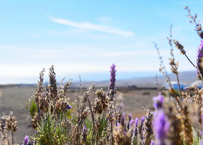 Casa Amanecer Iii 아파트 티아즈